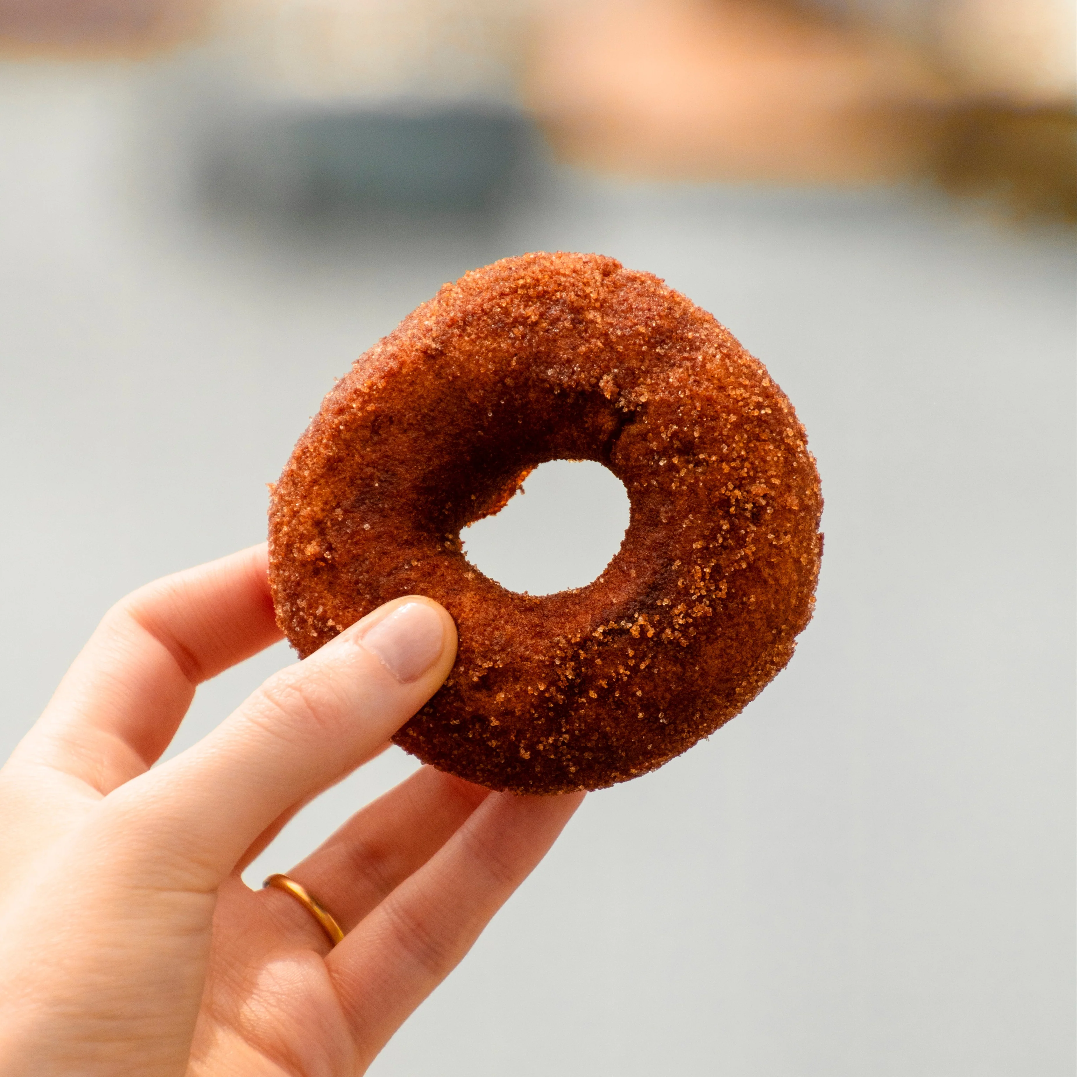 Cold Hollow - Legendary Cider Donuts - Image 5